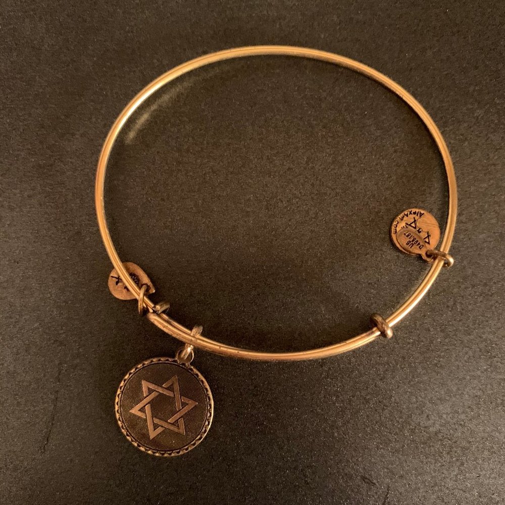 Alex and Ani Star of David Gold charm bracelet